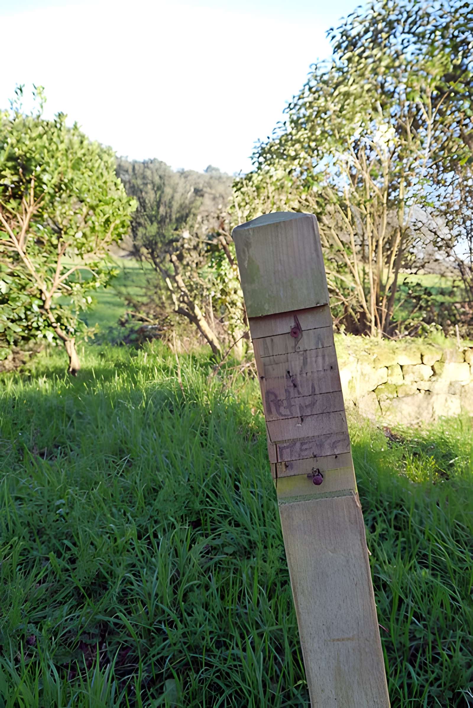 Alignements du Petit-Ménec à La Trinité-sur-Mer