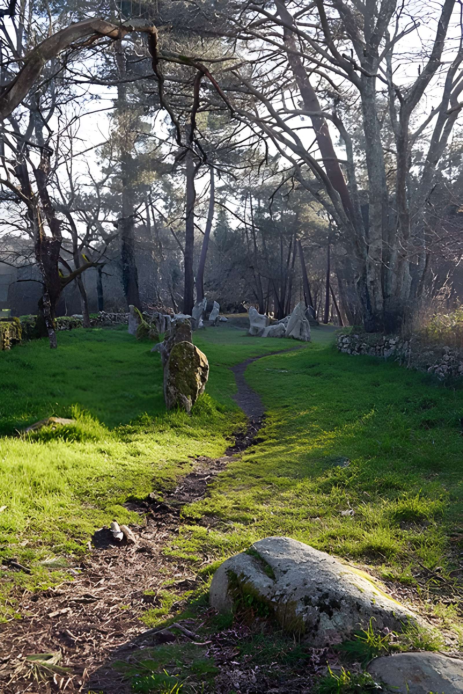 Alignements du Petit-Ménec à La Trinité-sur-Mer