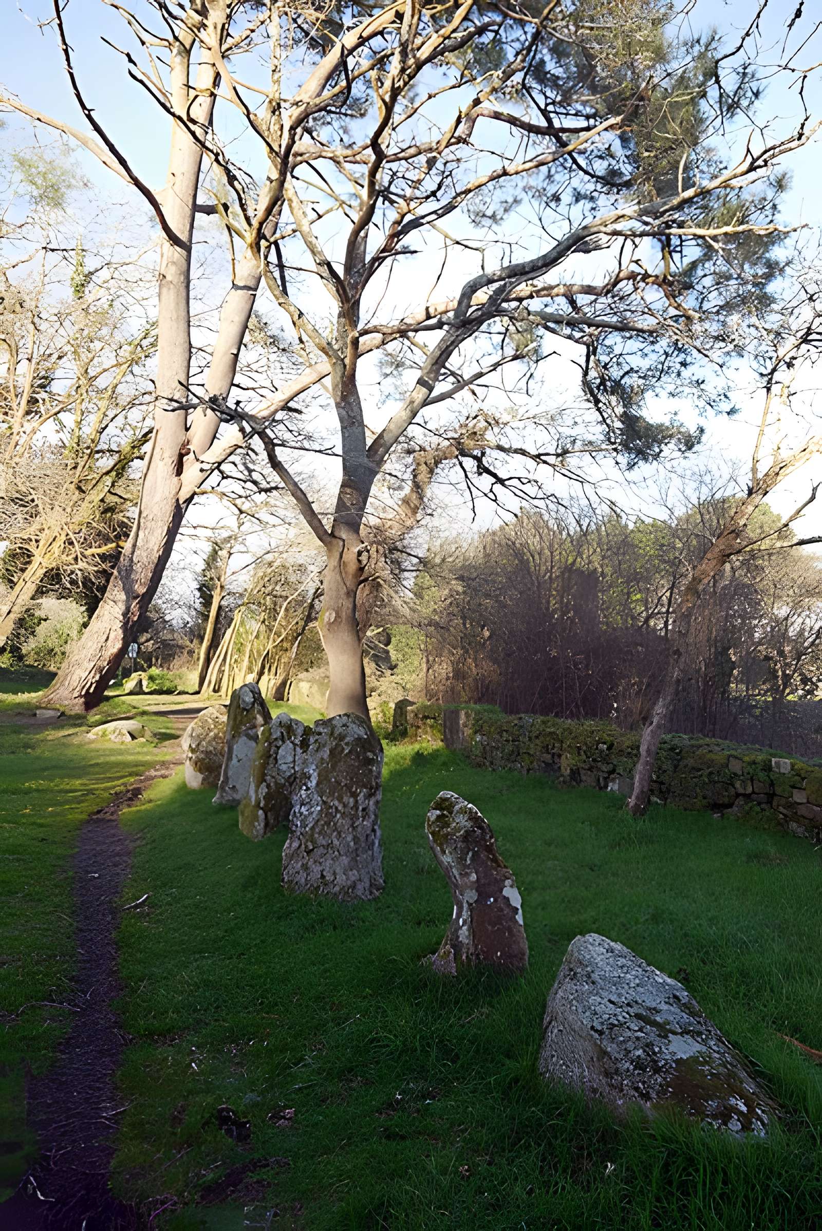 Alignements du Petit-Ménec à La Trinité-sur-Mer