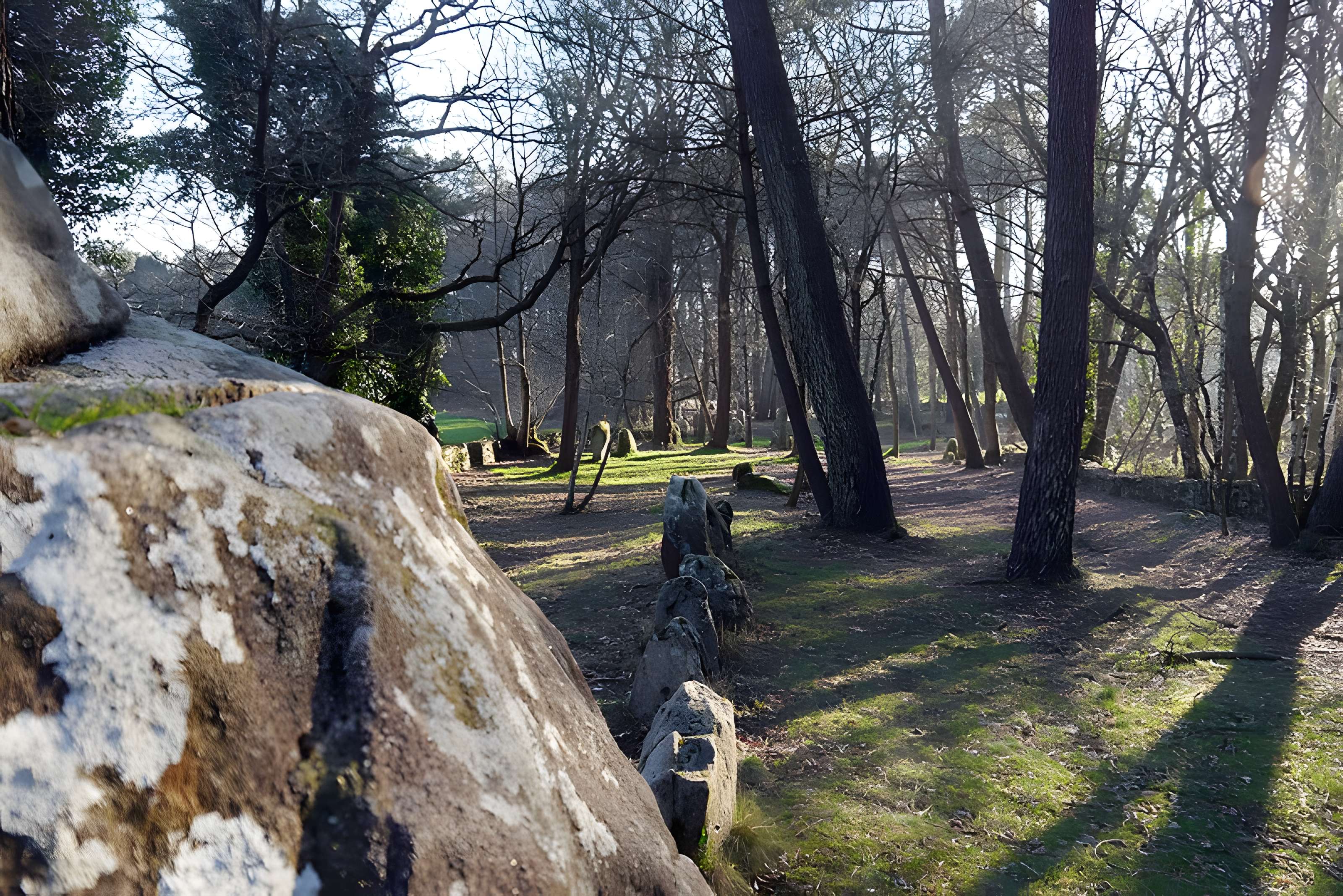 Alignements du Petit-Ménec à La Trinité-sur-Mer