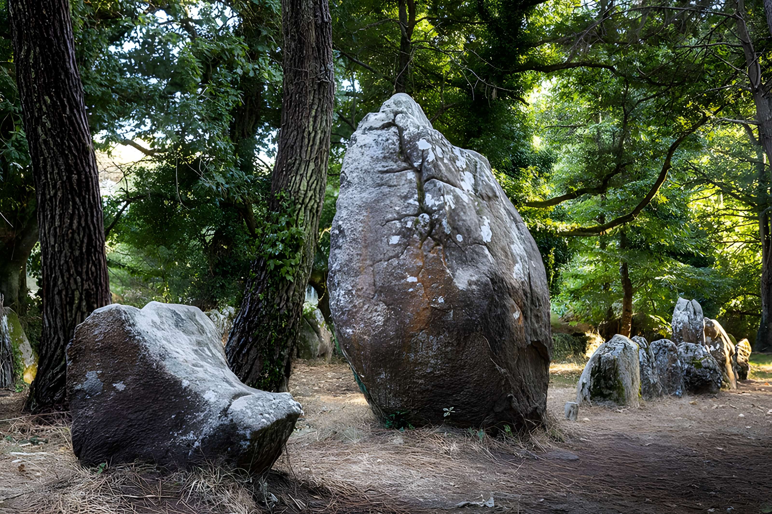 Alignements du Petit-Ménec à La Trinité-sur-Mer