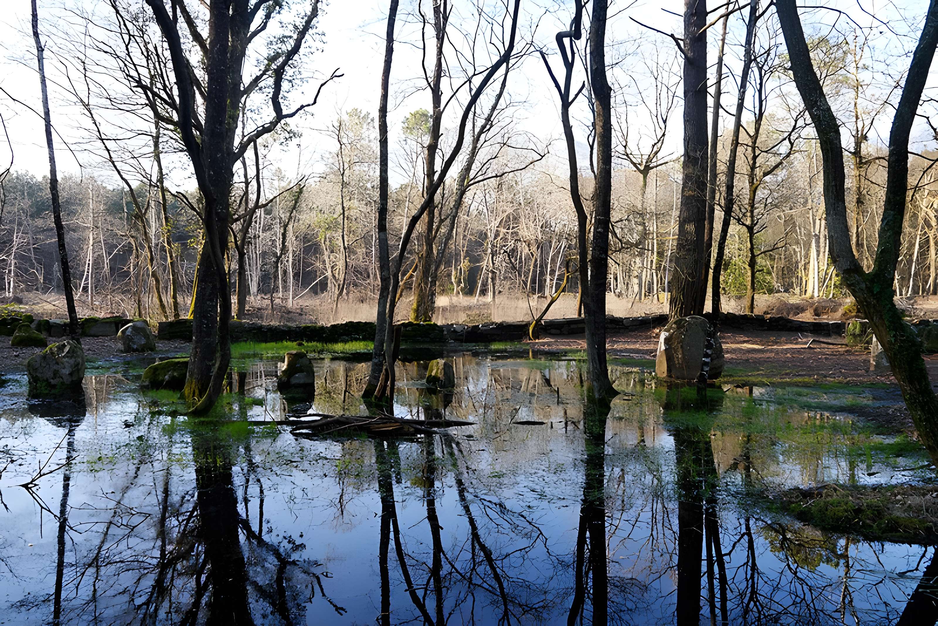 Alignements du Petit-Ménec à La Trinité-sur-Mer