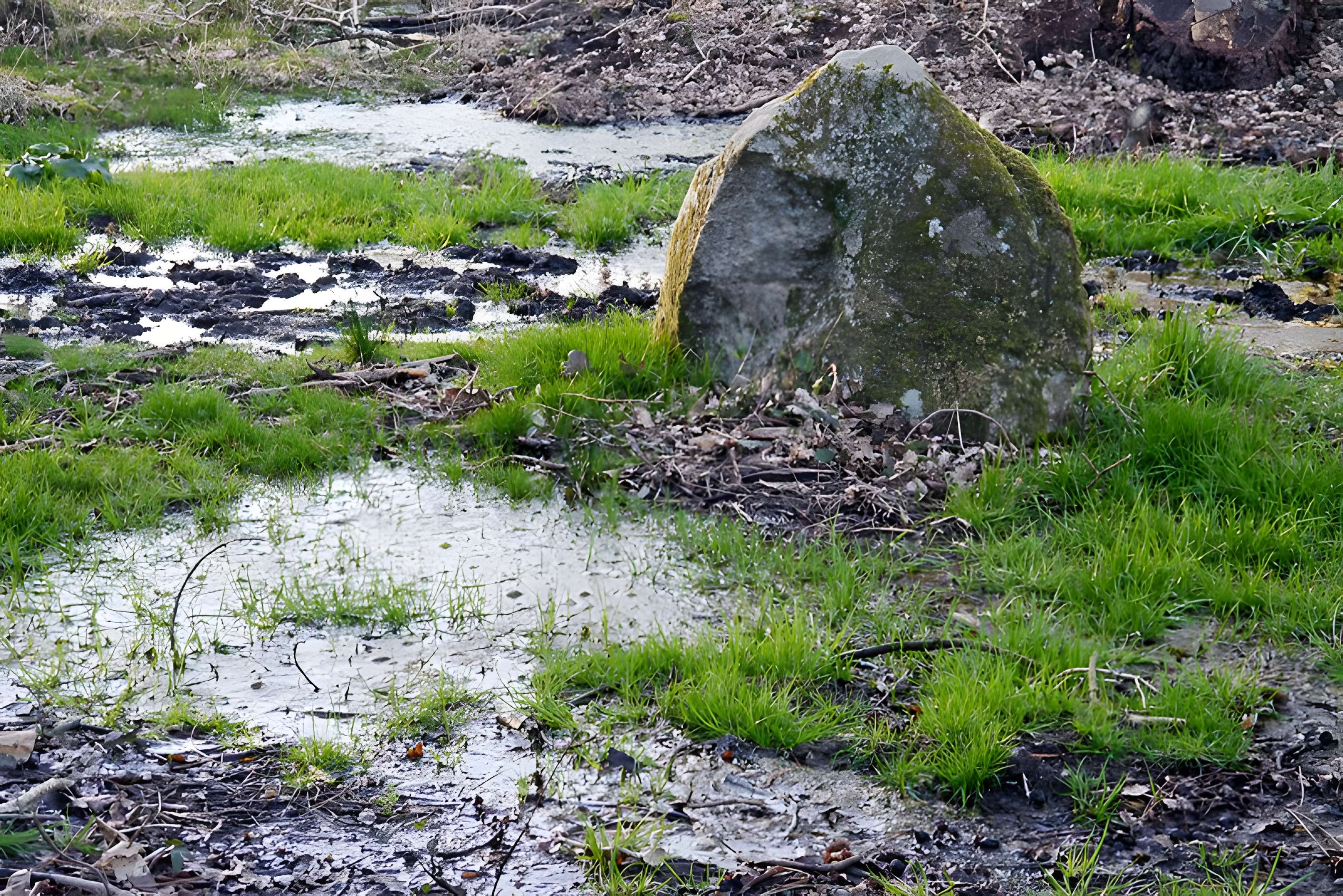 Alignements du Petit-Ménec à La Trinité-sur-Mer