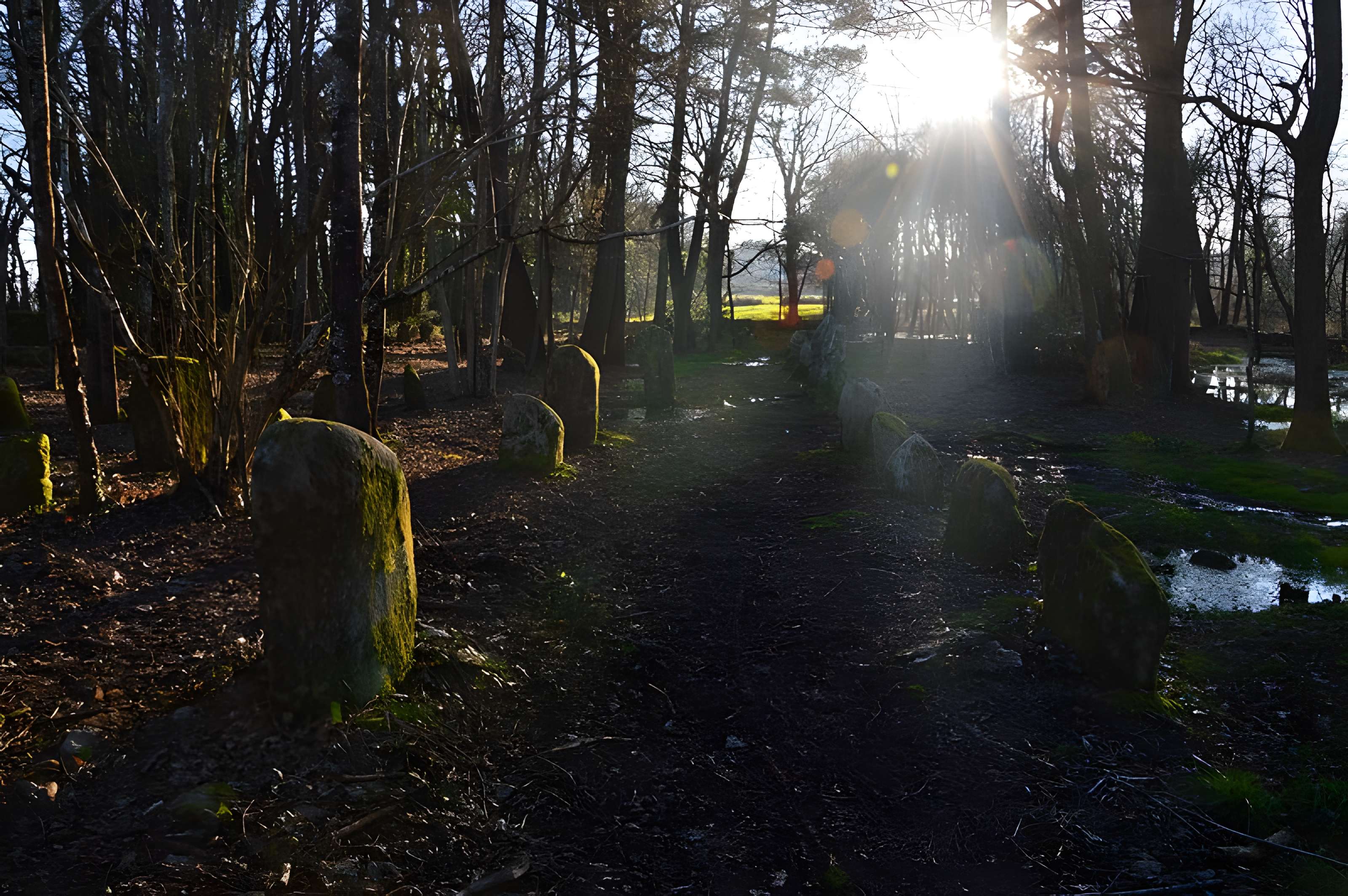 Alignements du Petit-Ménec à La Trinité-sur-Mer