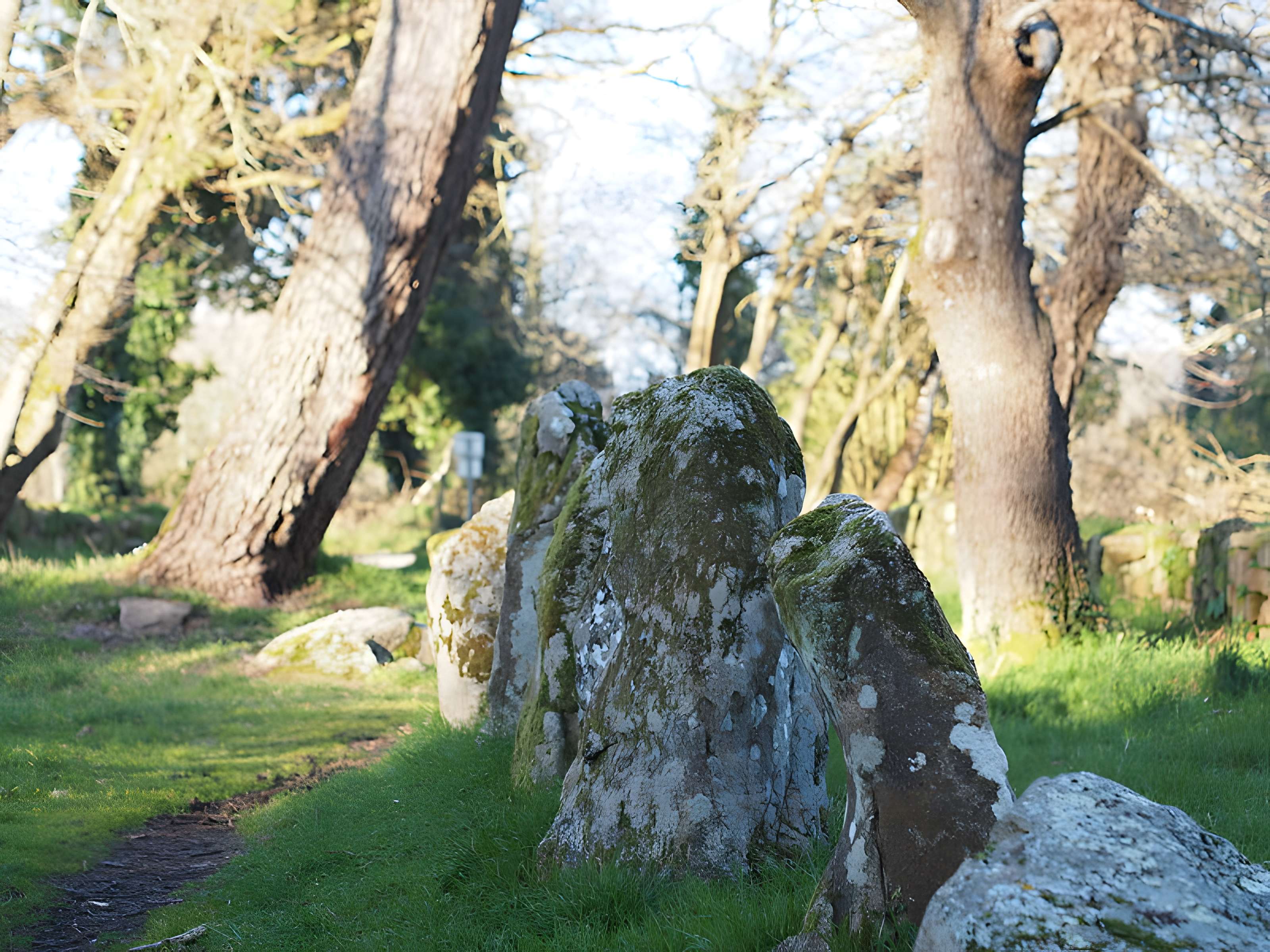 Alignements du Petit-Ménec à La Trinité-sur-Mer