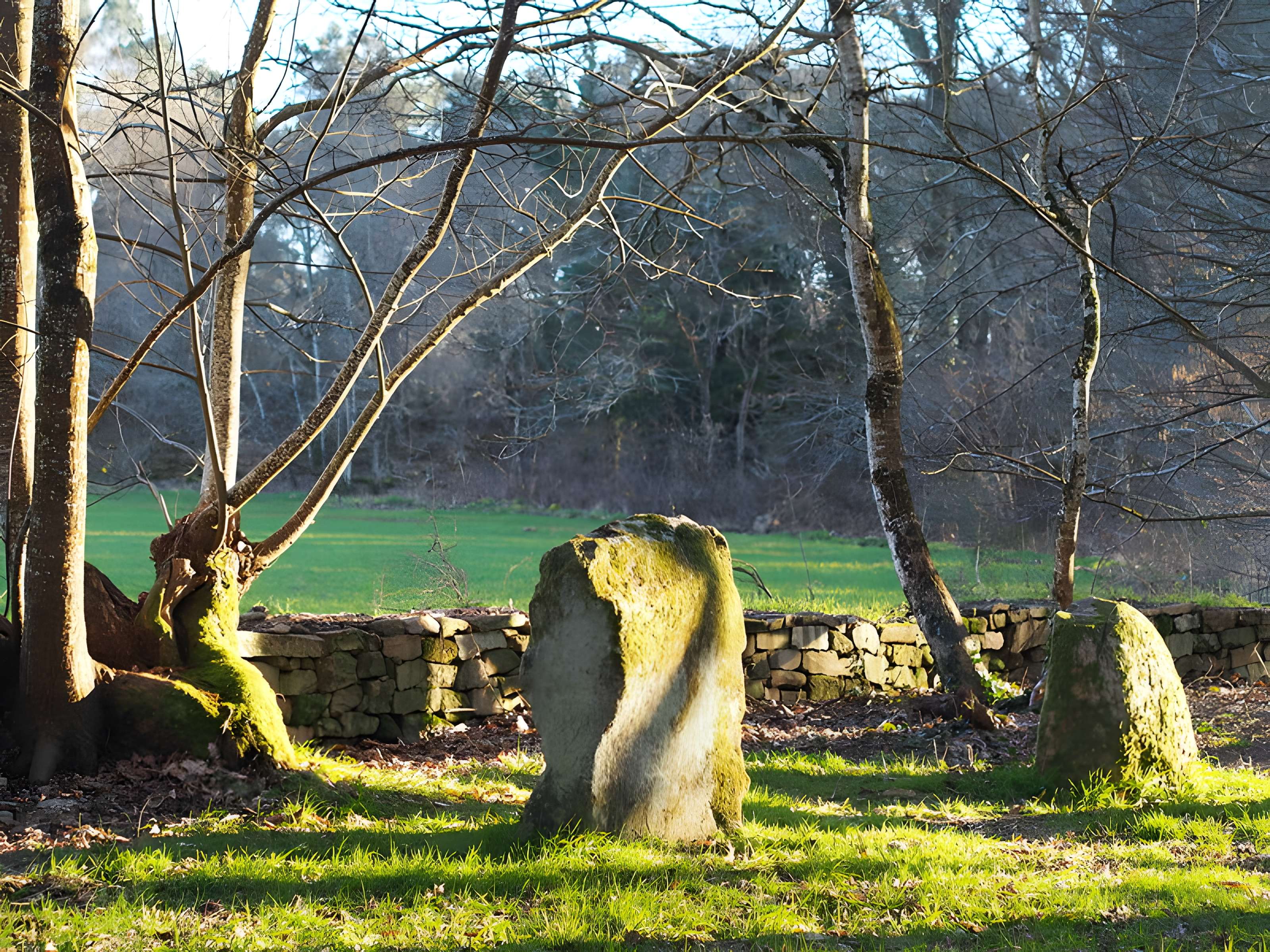 Alignements du Petit-Ménec à La Trinité-sur-Mer
