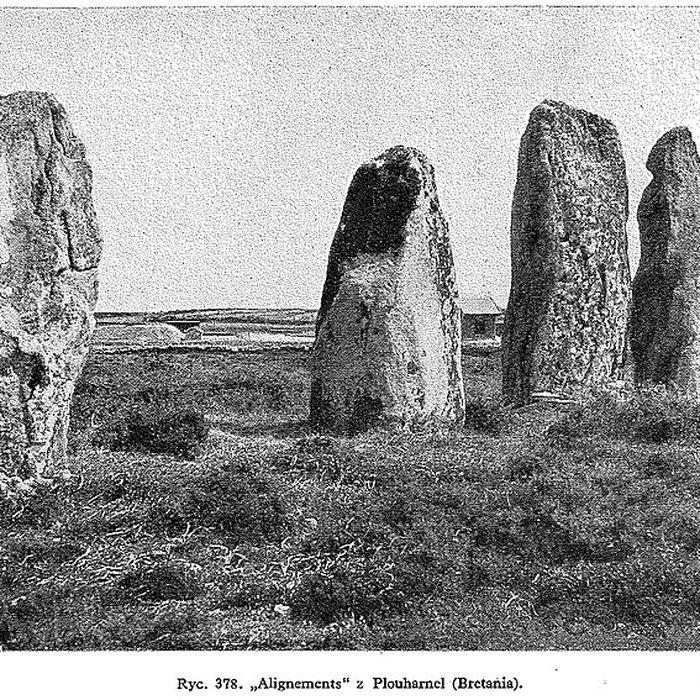 Photo de Alignements du Vieux-Moulin à Plouharnel