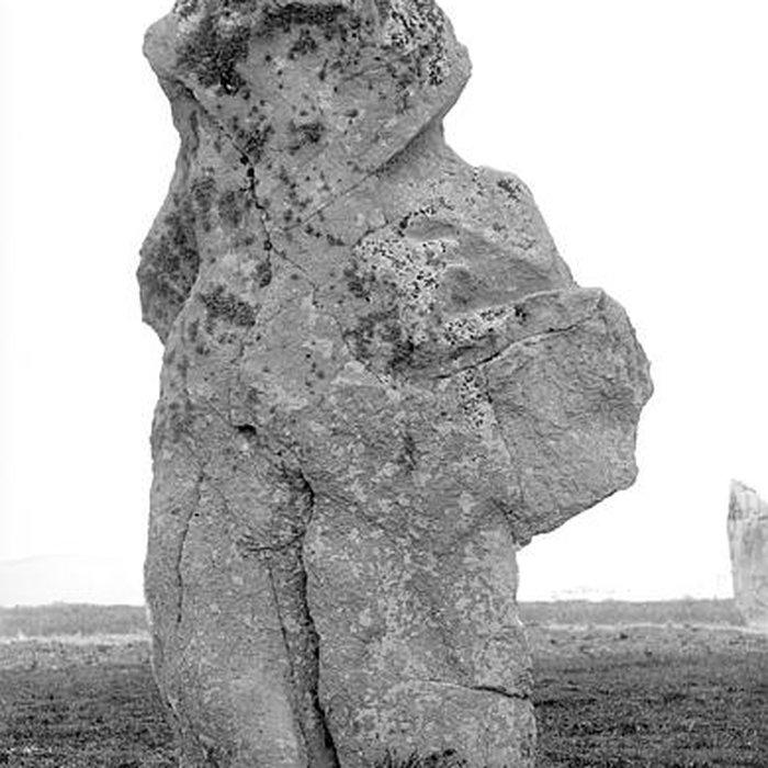 Photo de Alignements du Vieux-Moulin à Plouharnel