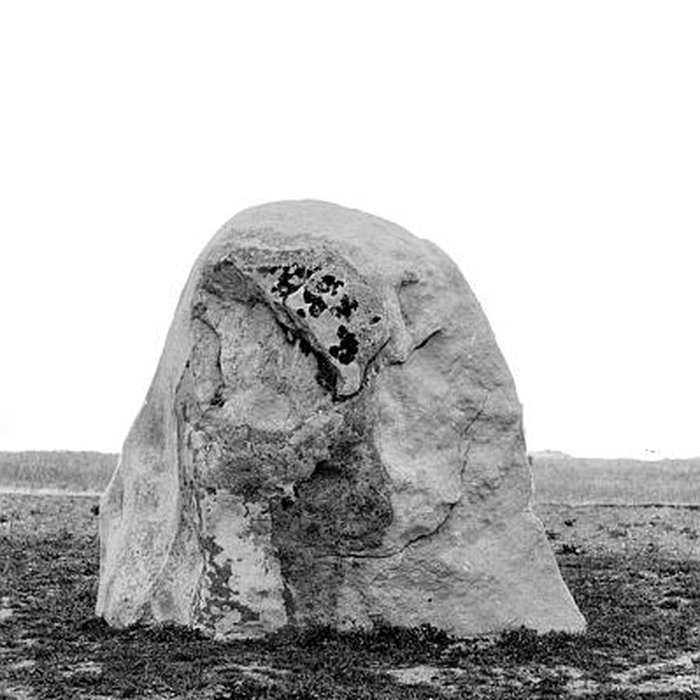 Photo de Alignements du Vieux-Moulin à Plouharnel