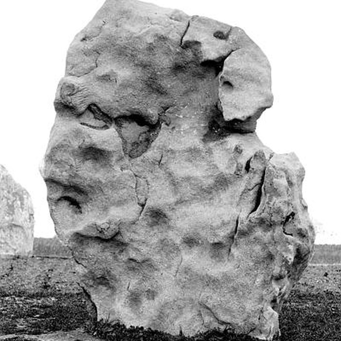 Photo de Alignements du Vieux-Moulin à Plouharnel