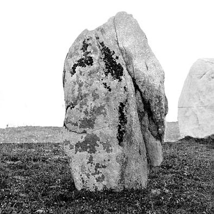 Photo de Alignements du Vieux-Moulin à Plouharnel