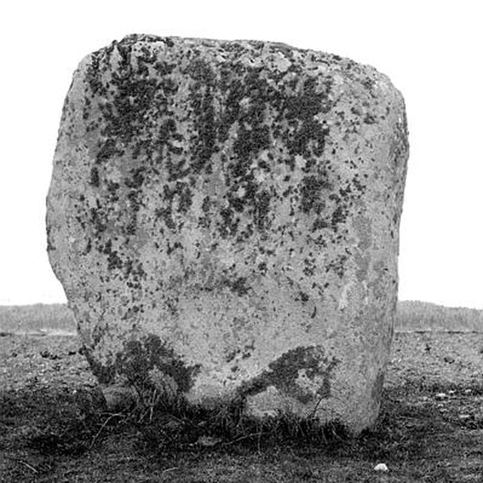 Photo de Alignements du Vieux-Moulin à Plouharnel