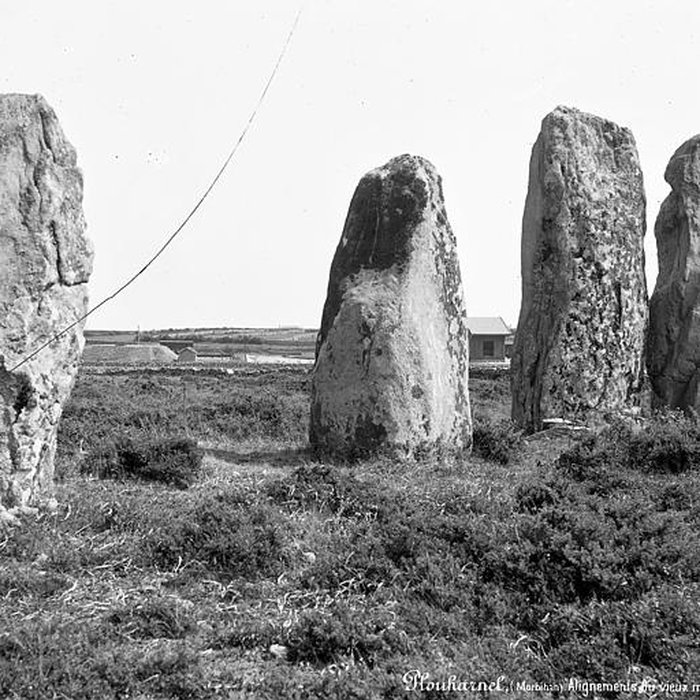 Photo de Alignements du Vieux-Moulin à Plouharnel