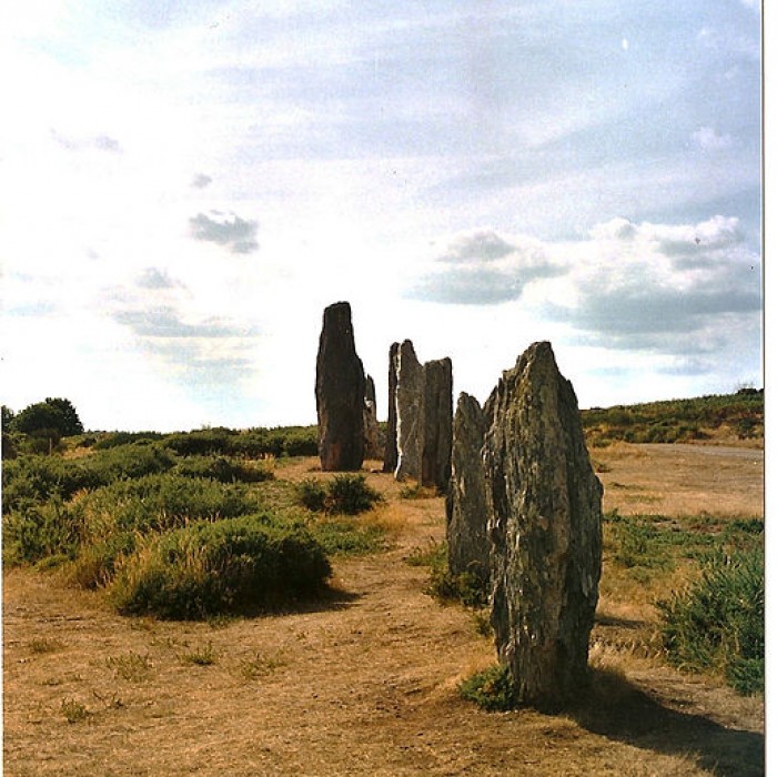 Photo de Alignements mégalithiques de Cojoux à Saint-Just
