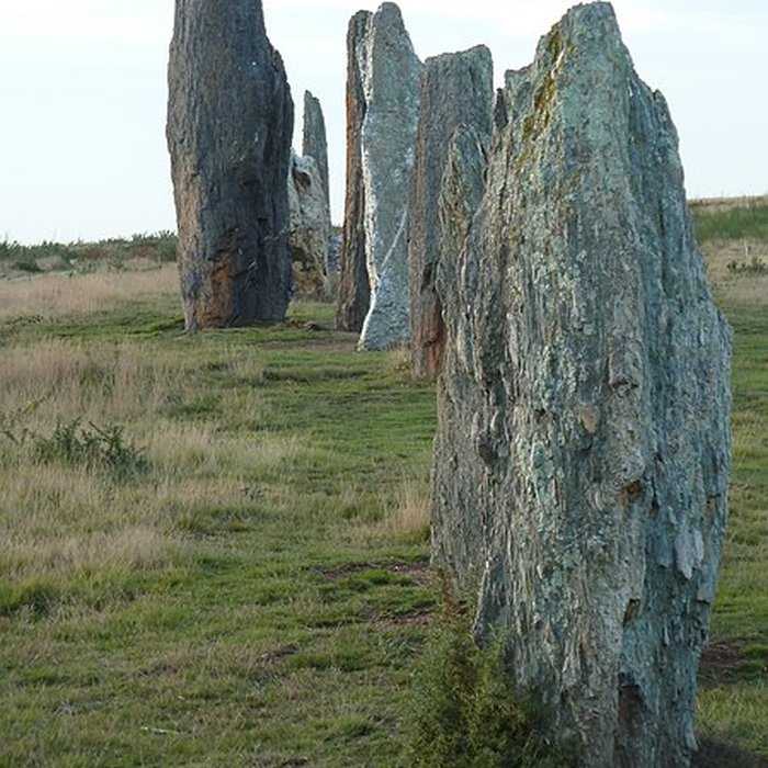 Photo de Alignements mégalithiques de Cojoux à Saint-Just