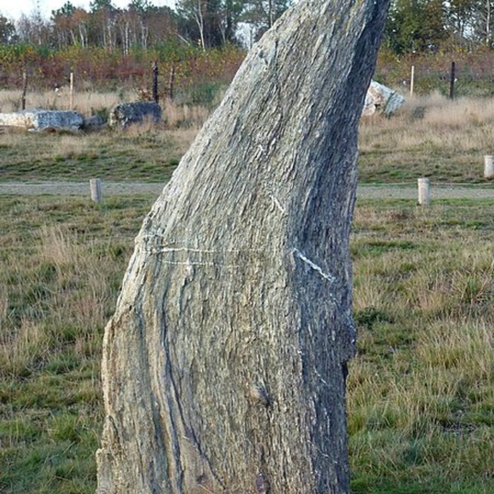 Photo de Alignements mégalithiques de Cojoux à Saint-Just