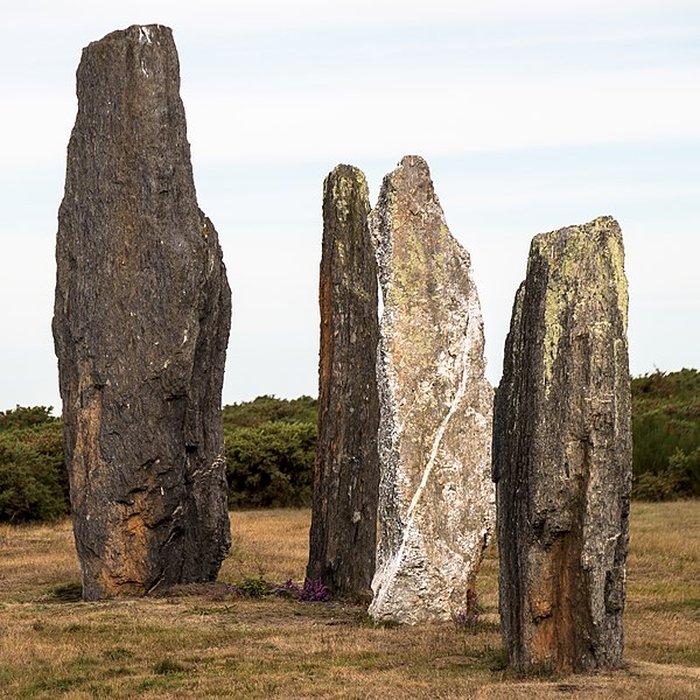 Photo de Alignements mégalithiques de Cojoux à Saint-Just