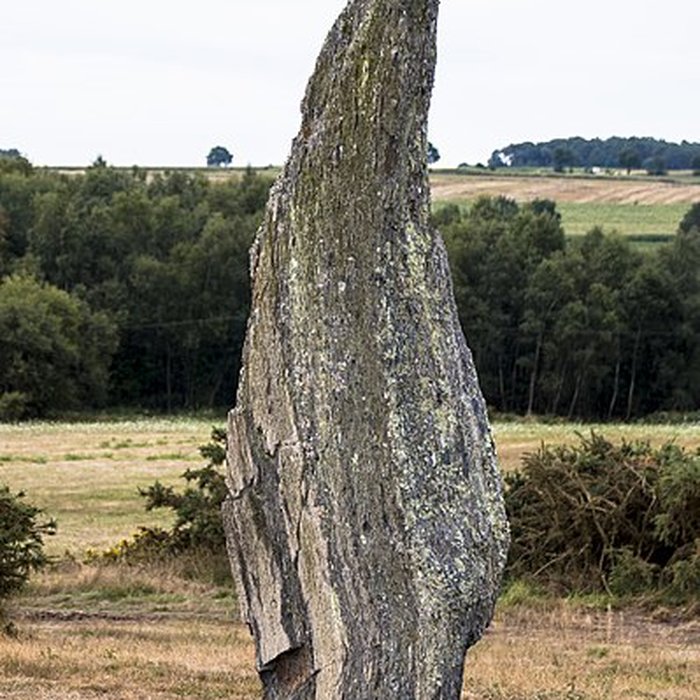 Photo de Alignements mégalithiques de Cojoux à Saint-Just