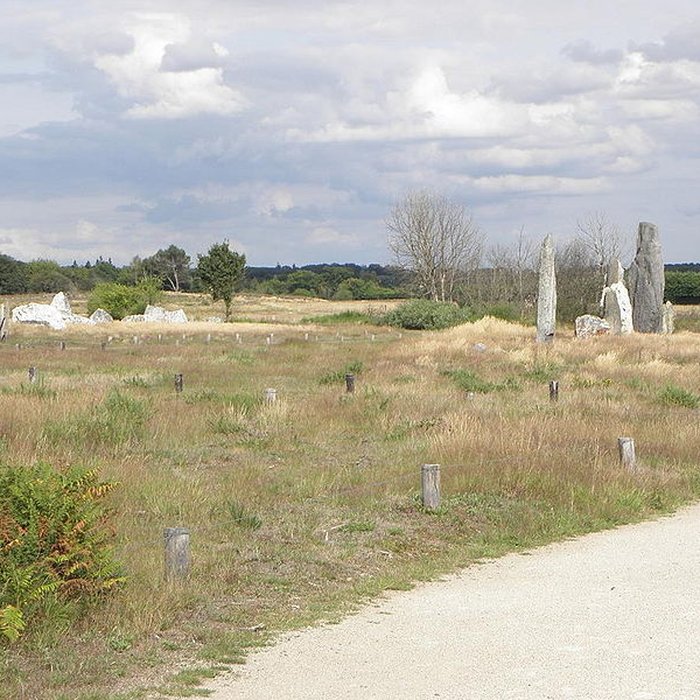 Photo de Alignements mégalithiques de Cojoux à Saint-Just