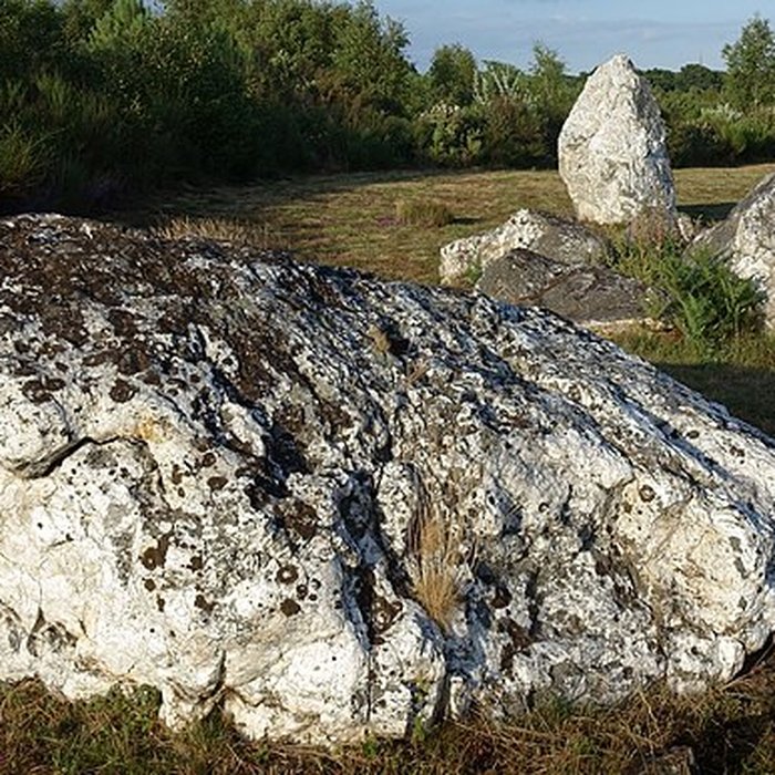 Photo de Alignements mégalithiques de Cojoux à Saint-Just