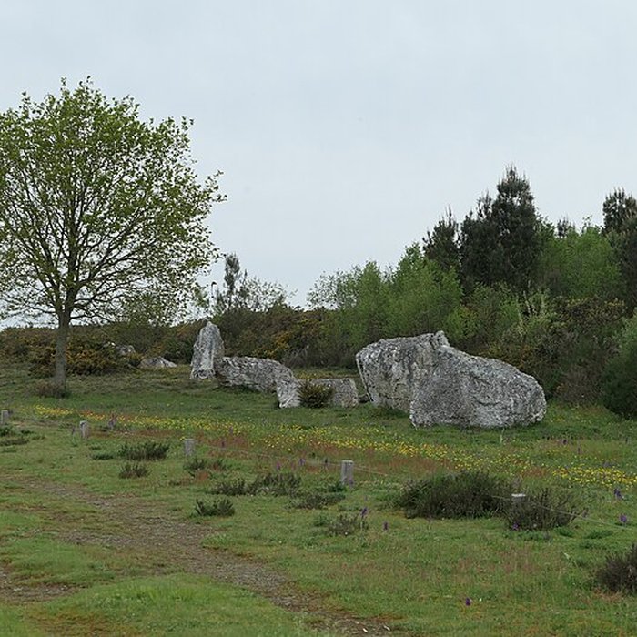Photo de Alignements mégalithiques de Cojoux à Saint-Just