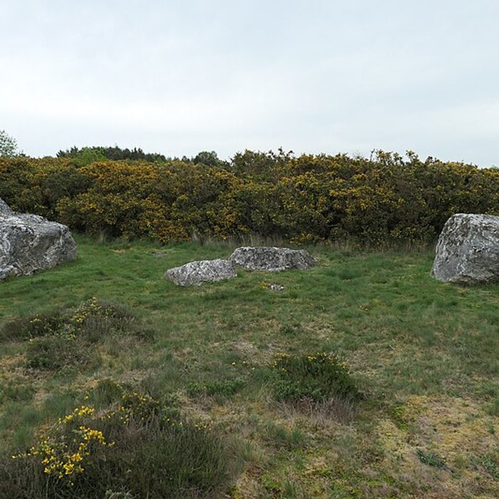 Photo de Alignements mégalithiques de Cojoux à Saint-Just