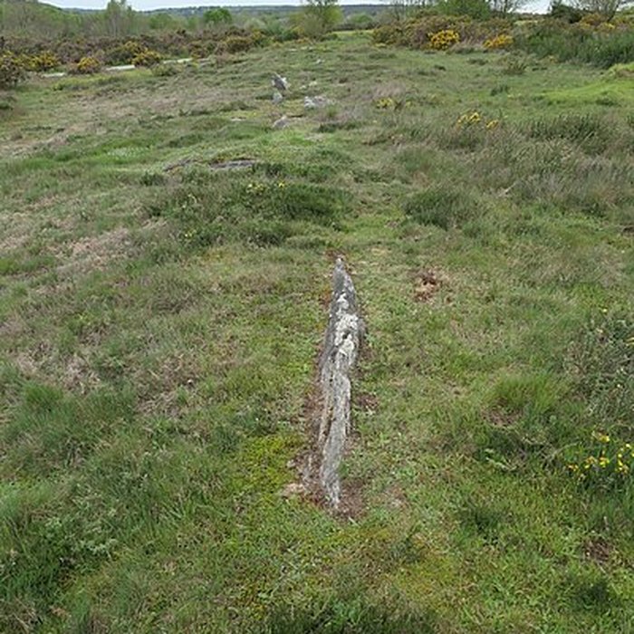 Photo de Alignements mégalithiques de Cojoux à Saint-Just