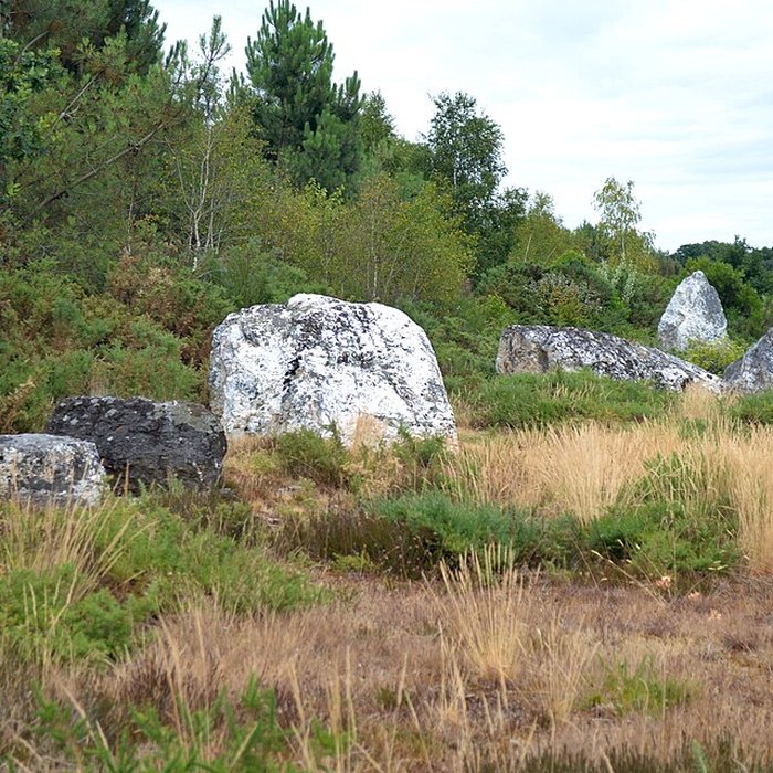 Photo de Alignements mégalithiques de Cojoux à Saint-Just
