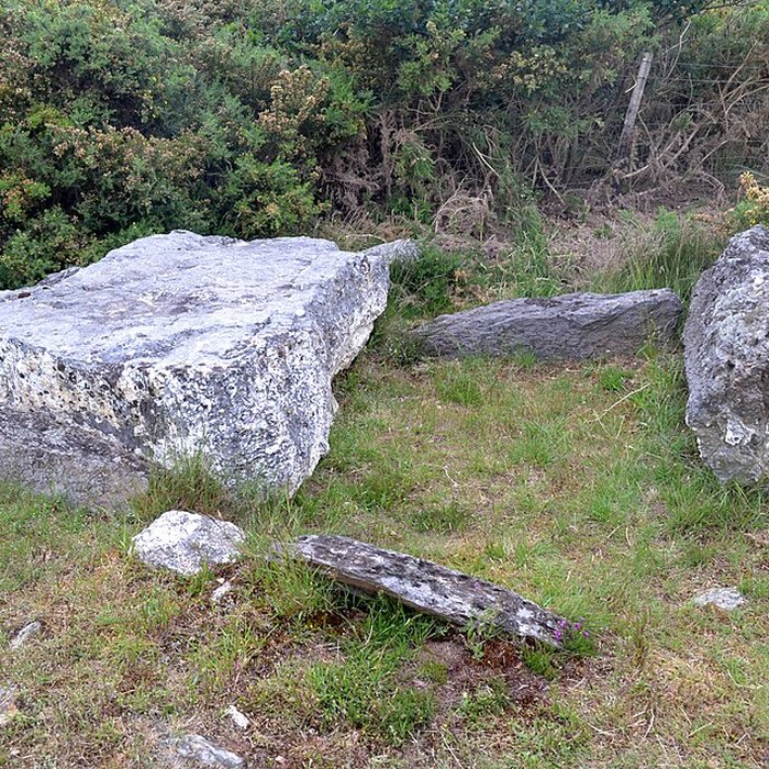 Photo de Alignements mégalithiques de Cojoux à Saint-Just