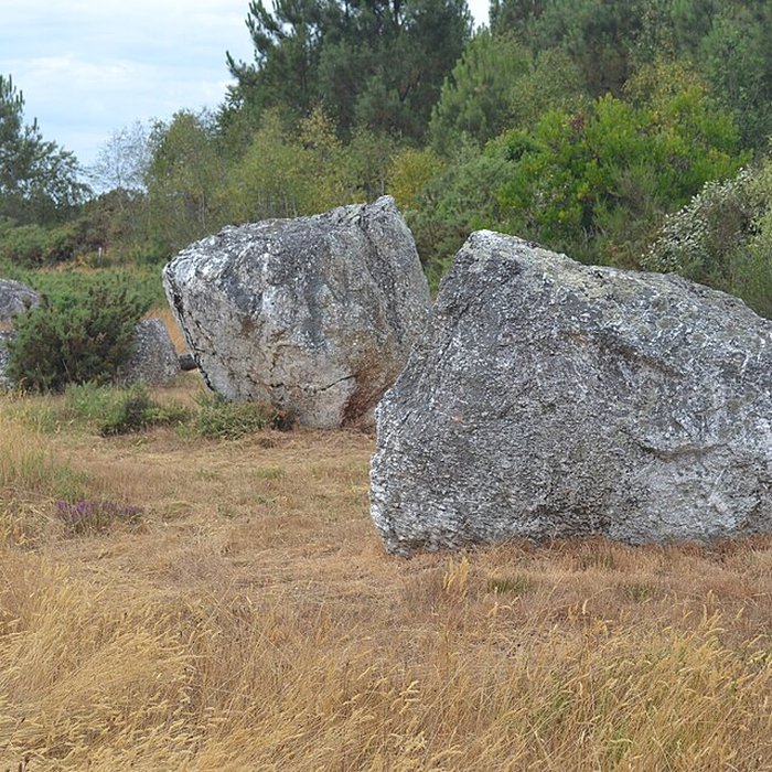 Photo de Alignements mégalithiques de Cojoux à Saint-Just