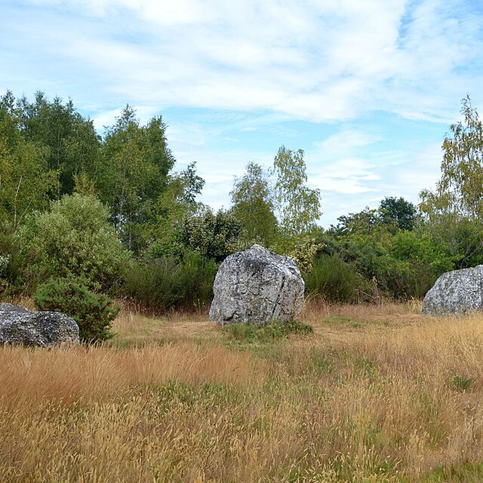 Photo de Alignements mégalithiques de Cojoux à Saint-Just