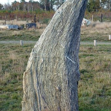 Alignements mégalithiques de Cojoux à Saint-Just