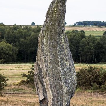 Alignements mégalithiques de Cojoux à Saint-Just