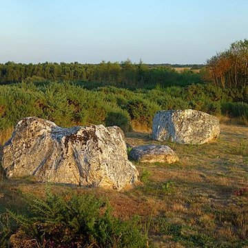 Alignements mégalithiques de Cojoux à Saint-Just
