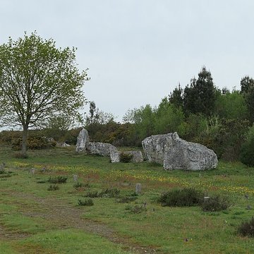 Alignements mégalithiques de Cojoux à Saint-Just