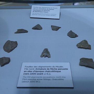 Alignements mégalithiques de Cojoux à Saint-Just