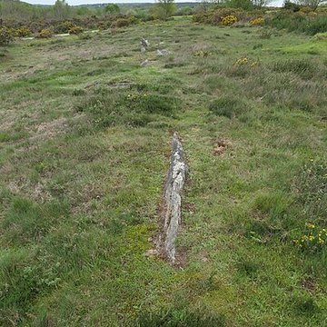 Alignements mégalithiques de Cojoux à Saint-Just