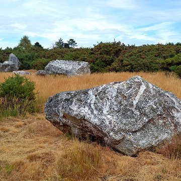 Alignements mégalithiques de Cojoux à Saint-Just