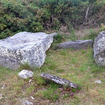 Alignements mégalithiques de Cojoux à Saint-Just