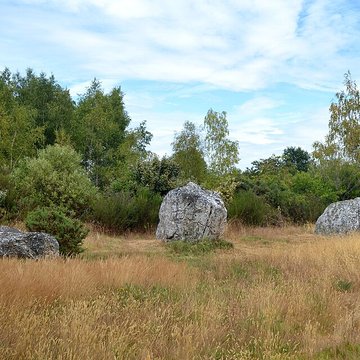 Alignements mégalithiques de Cojoux à Saint-Just