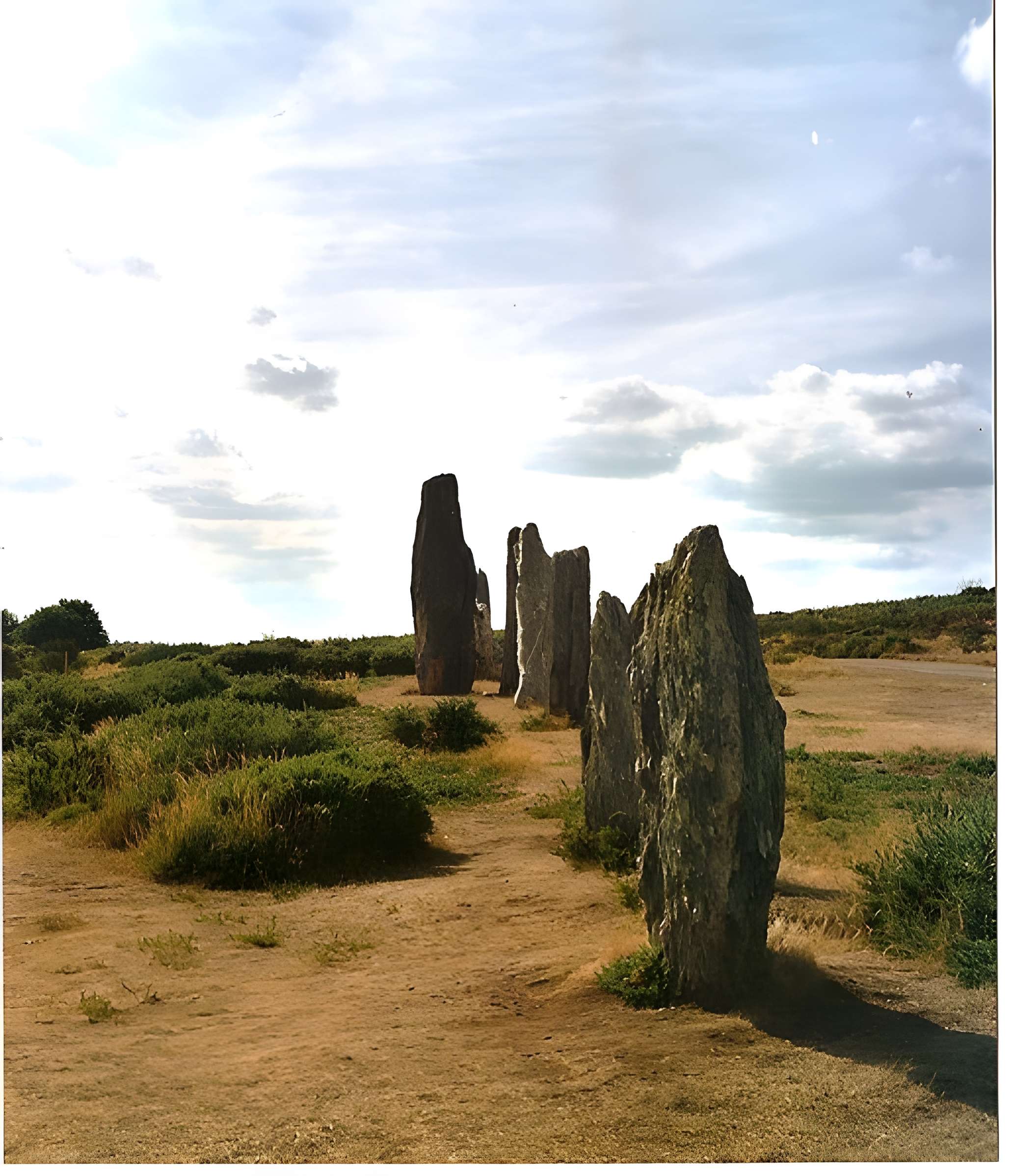 Alignements mégalithiques de Cojoux à Saint-Just 