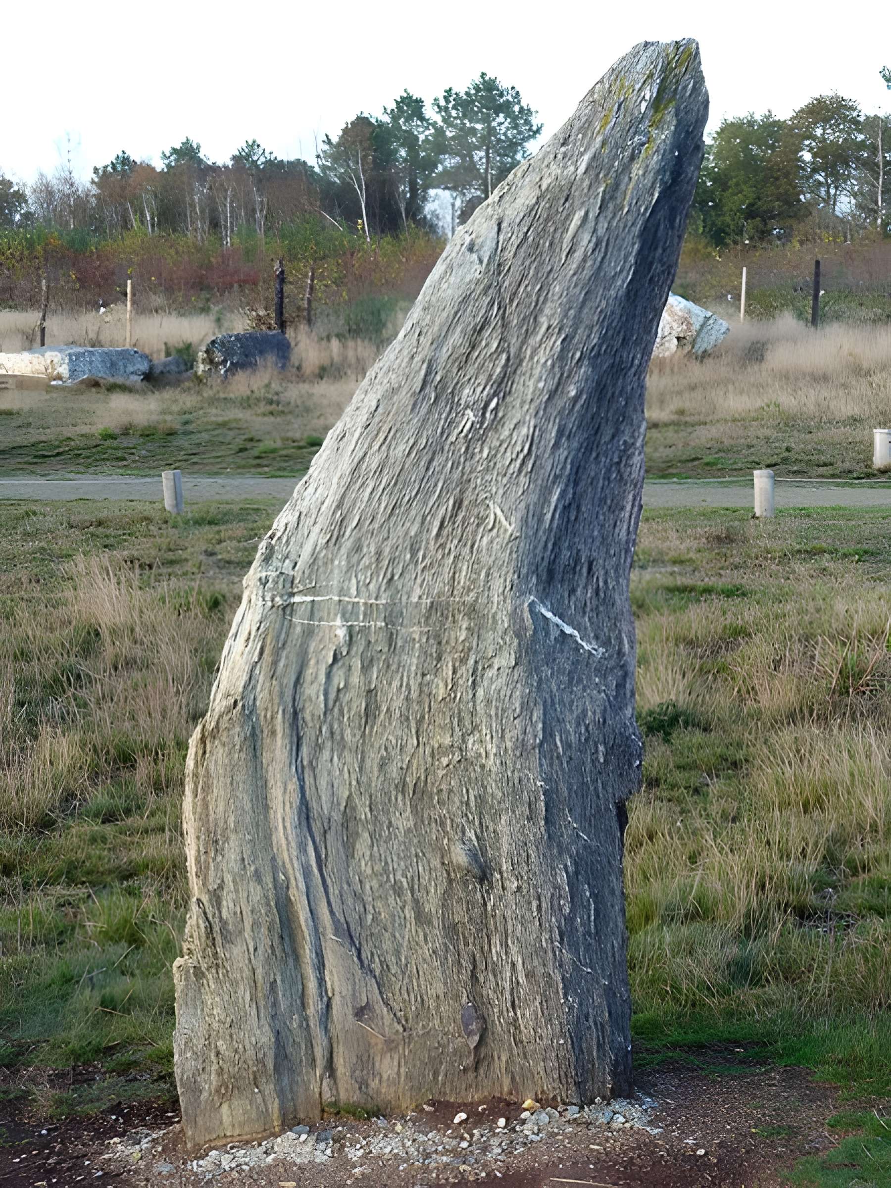 Alignements mégalithiques de Cojoux à Saint-Just