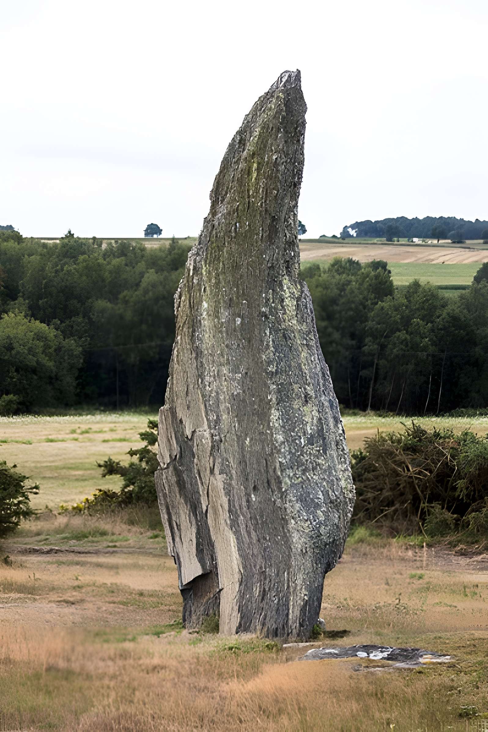 Alignements mégalithiques de Cojoux à Saint-Just