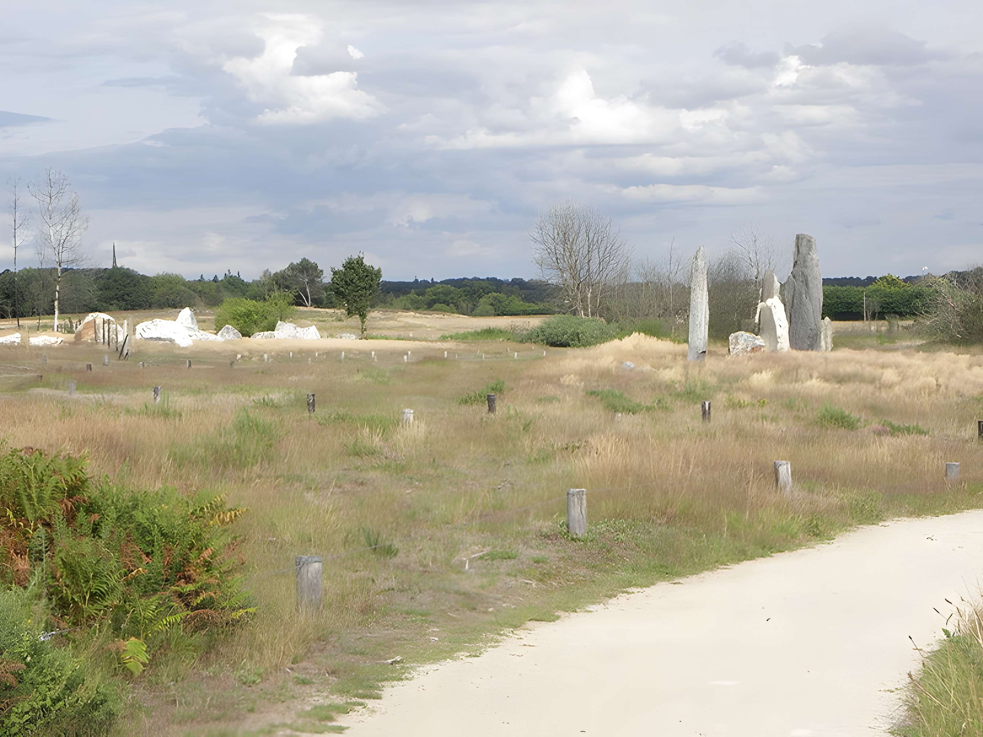 Alignements mégalithiques de Cojoux à Saint-Just