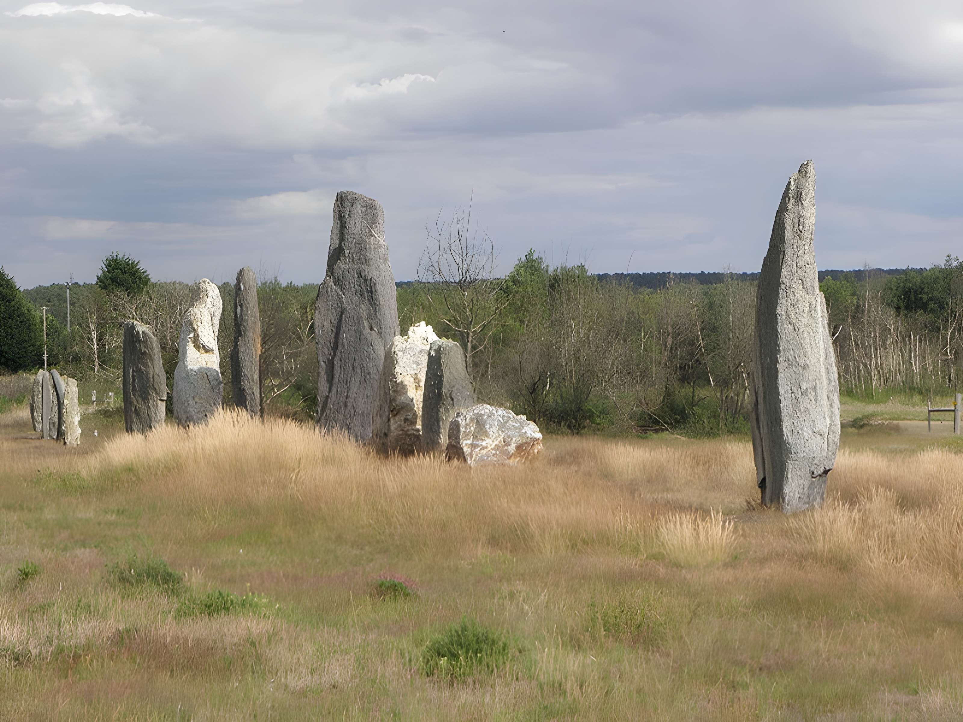 Alignements mégalithiques de Cojoux à Saint-Just