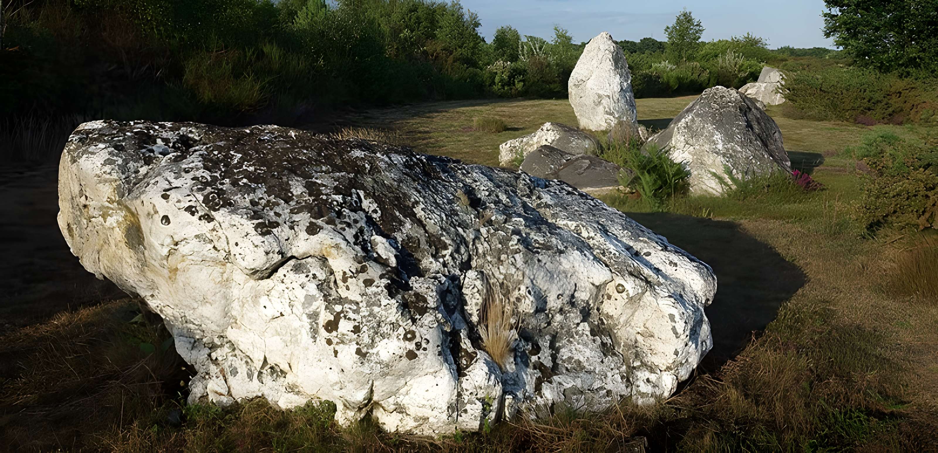 Alignements mégalithiques de Cojoux à Saint-Just