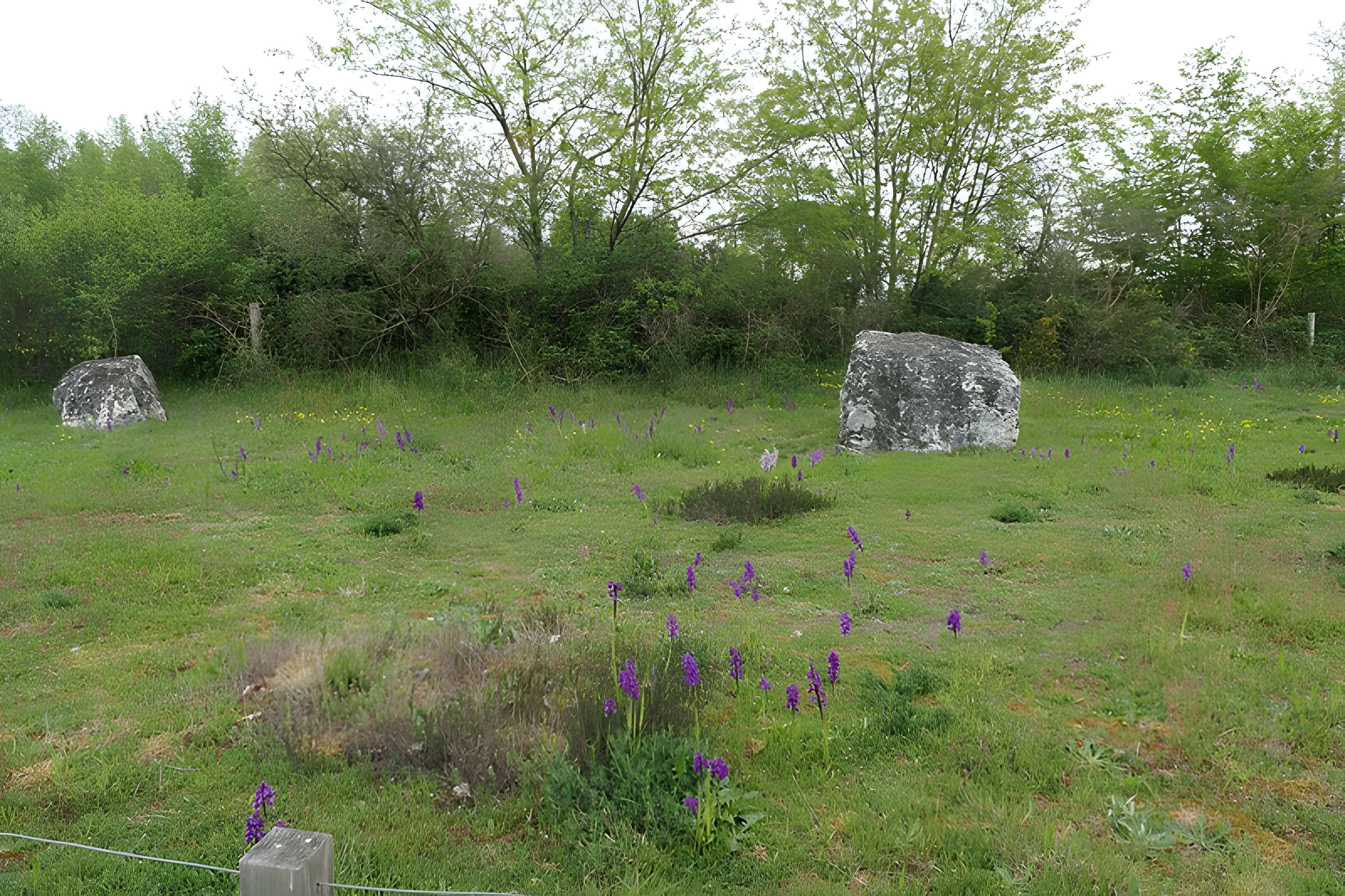Alignements mégalithiques de Cojoux à Saint-Just