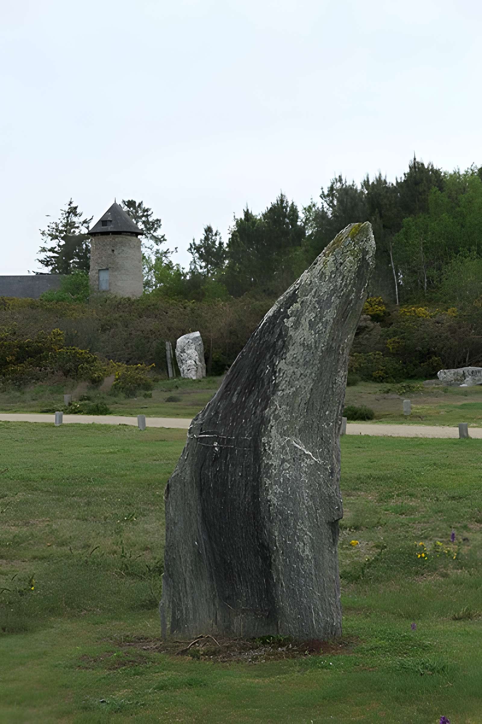 Alignements mégalithiques de Cojoux à Saint-Just