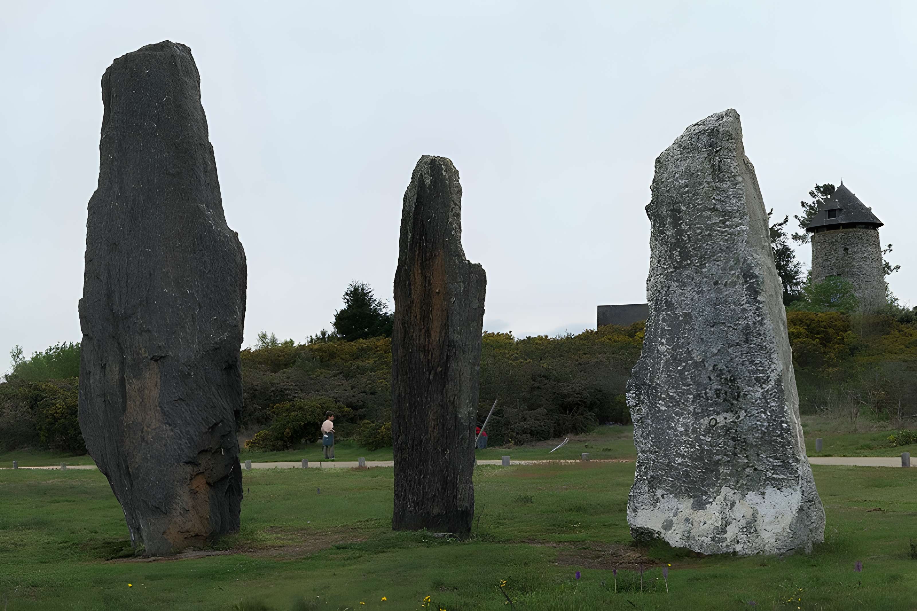 Alignements mégalithiques de Cojoux à Saint-Just