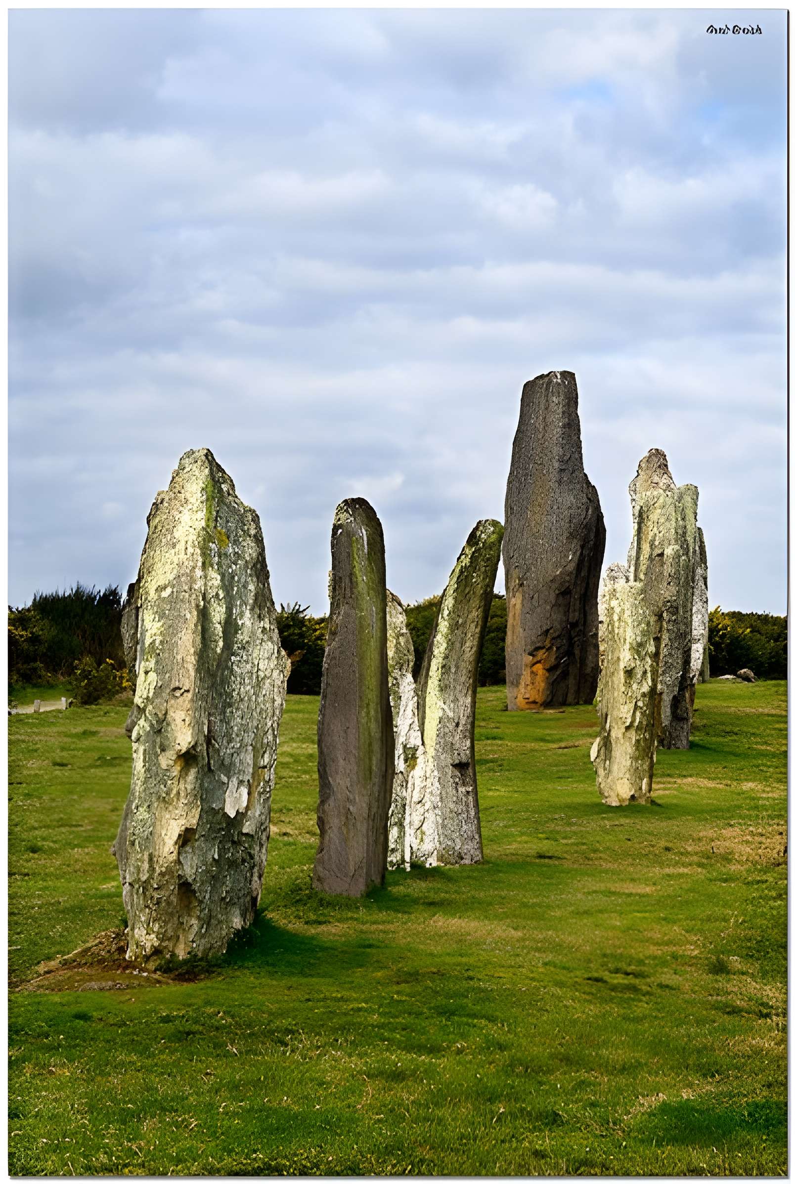 Alignements mégalithiques de Cojoux à Saint-Just